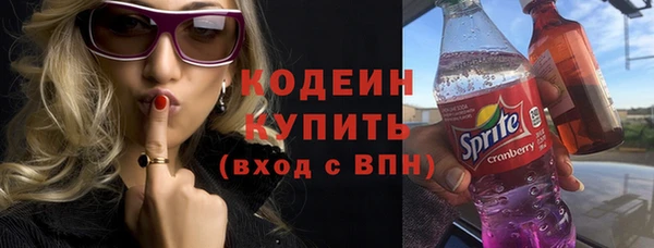 спайс Гусь-Хрустальный