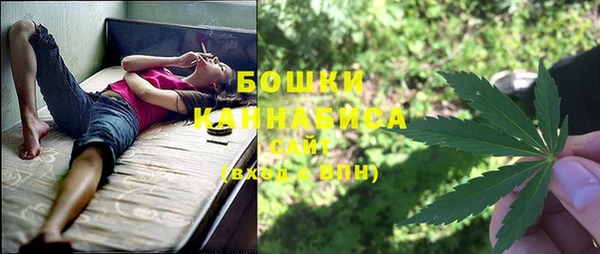 молекула духа Нея