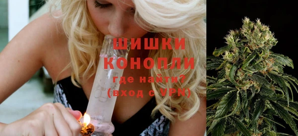 винт Гусев
