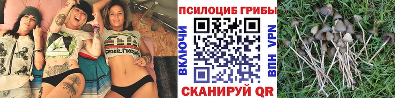 купить наркотик  Зарайск  Галлюциногенные грибы MAGIC MUSHROOMS 